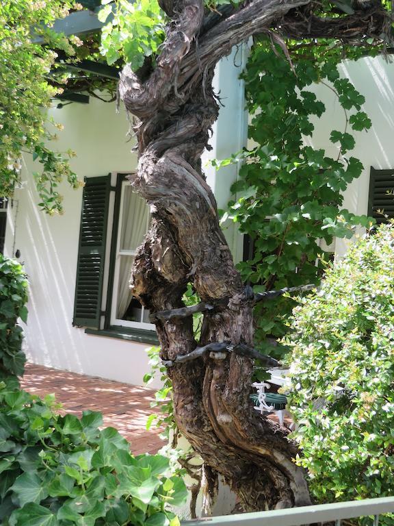 Buiten Verwagten Guest House Graaff-Reinet Eksteriør bilde